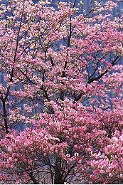 历代PlayStation主机代表性游戏整理